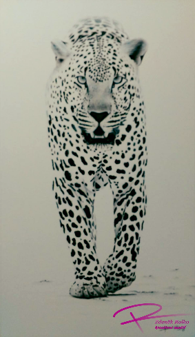 leopard-bily-hotovy-zesvetleny